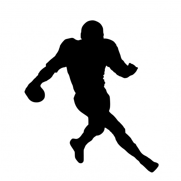 NFL Predictions Week 11