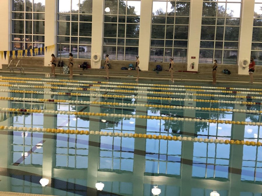 Girls Swim and Dive Strive For Success Despite Setbacks From COVID-19