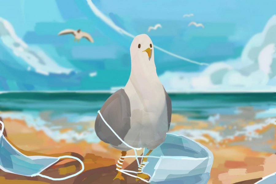 Illustrated by Autumn Hong 