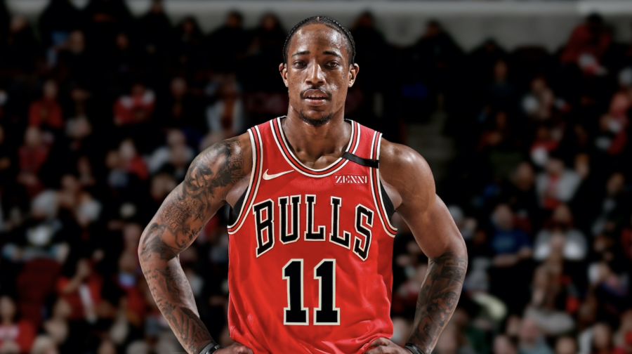 Bulls Season Predictions