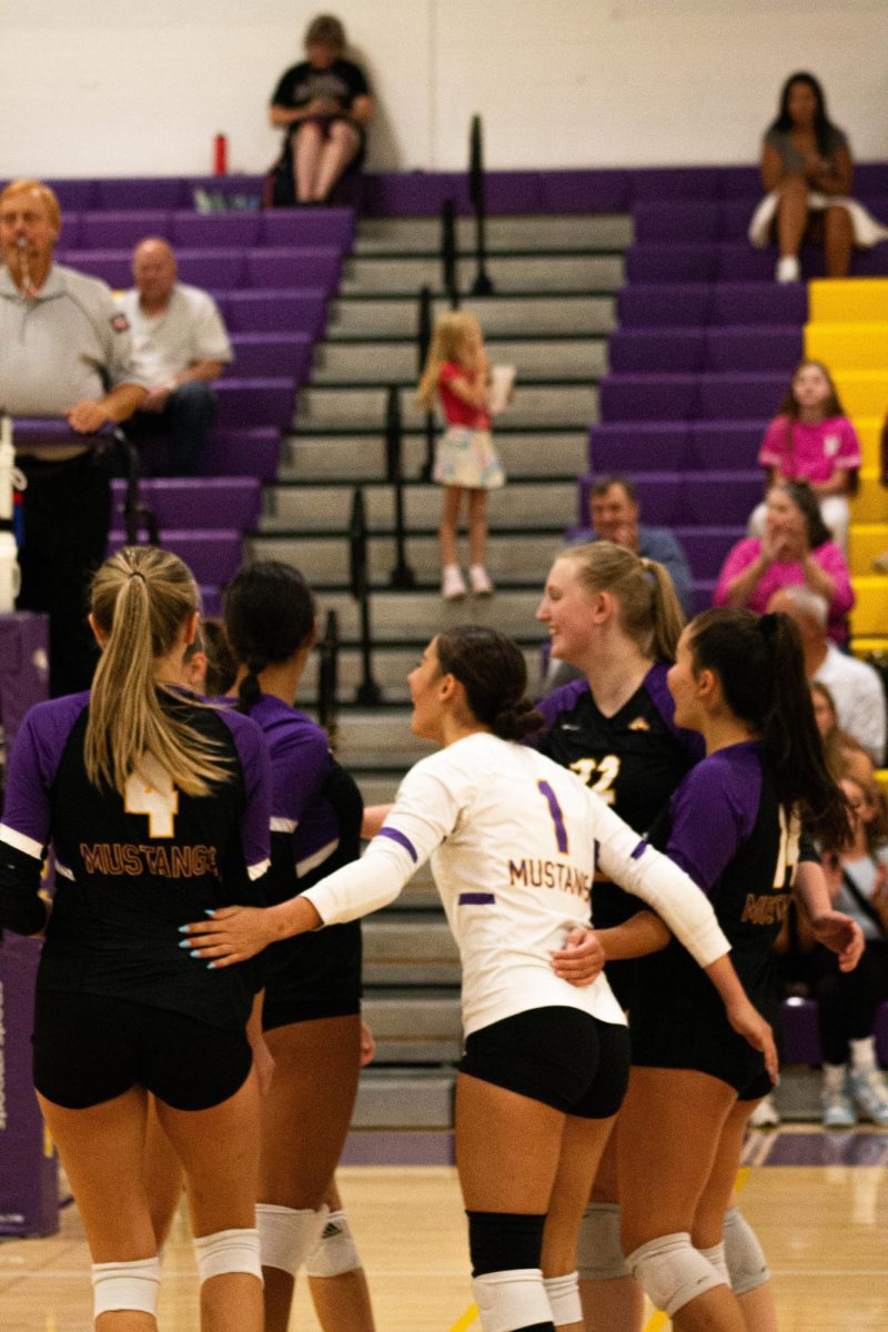 Girls Volleyball vs Barrington (All Levels) (Photo Gallery)